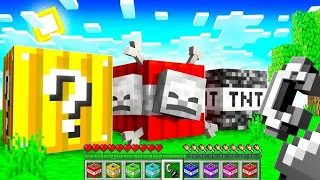 Testing Minecraft TNT From Level 1 To Level 100 | Minecraft in Hindi Part 1