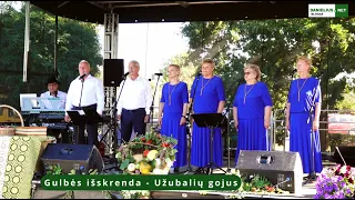 „Gulbės išskrenda" - Užubalių gojus, Alytaus rajonas