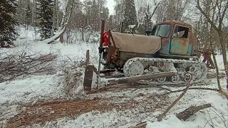 Пробиваем дорогу в лес