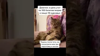 Мемасик №1113