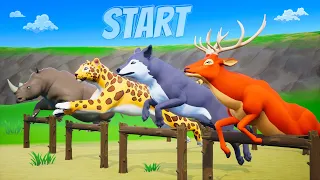 Animals Running Race Competition - Red Deer, Cheetah, Fox, Zebra| Funny Animals Videos for Kids