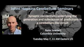 Nate Sawtell: connectivity underlying the generation of predictions in a cerebellum-like circuit