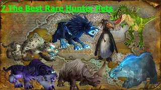 7 The Best Rare Hunter Pets