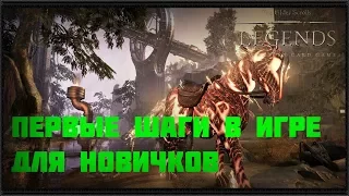 The Elder Scrolls Legends Первые шаги для новичков