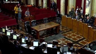 'Surfer Bro' hilariously trolls LA City Council with speech defending house parties