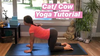 How to do Cat Cow Yoga Pose | YOGA FOR BEGINNERS