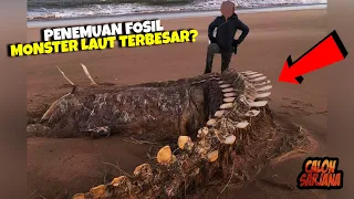 Dipercaya Banyak Orang, Ini Adalah Penemuan Fosil Monster Laut Terbesar di Dunia yang Sempat Viral!
