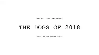 The Dogs of 2018