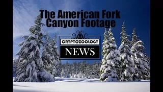 Real or Fake? The Bigfoot Sighting at American Fork Canyon