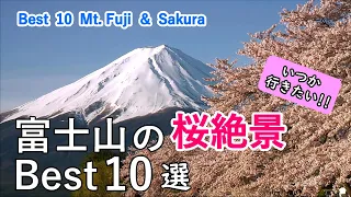 Top 10 best views of Mt. Fuji and cherry blossoms (Sakura) / Spectacular Views of Japan