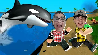 FOMOS ATACADOS POR UMA BALEIA ORCA NA PRAIA!!!