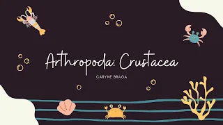 Arthropoda: Crustacea