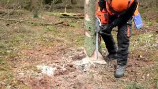 ECC2 - Basic tree felling techniques