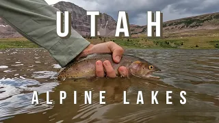 Elevation 10,000 | Dry-Fly Fishing for AGGRESSIVE Tiger Trout in the High Uintas