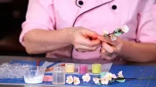 How to Paint a Cherry Blossom | Sugar Flowers