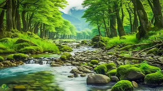 Relaxing music Relieves stress, Anxiety and Depression 🌿 Relaxing Music to Rest the Mind #3