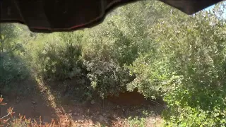 I rode in to a SPIDER nest while in Greece 🇬🇷