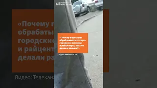 "Боевые" комары в Барнауле  #барнаул #шортс