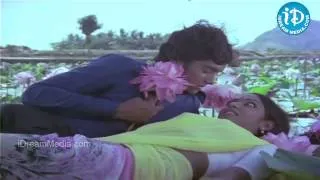 Minneti Sooreedu Song - Seethakoka Chilaka Movie Songs - Karthik Muthuraman - Aruna Mucherla