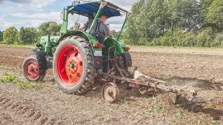 Famulus Traktor beim Pflügen mit 2 Schar Pflug