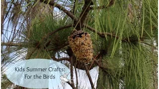 Kid's Summer Crafts: For the Birds