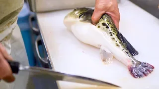 Amazing cutting skills in Japan!Moving blowfish fillets are a traditional Japanese technique! [ASMR]