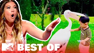 Ridiculousnessly Popular Videos: Animal Edition (Part 2) 🐇 Ridiculousness