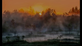 Успокаивающее видео,  ночь, восход солнца. Релаксация после тяжелого дня. Музыка перед сном.