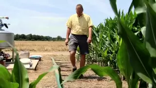 Corn Yield Champion