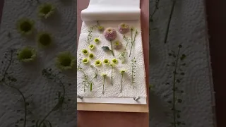 DIY Super Easy Flower Press for dried flowers craft art