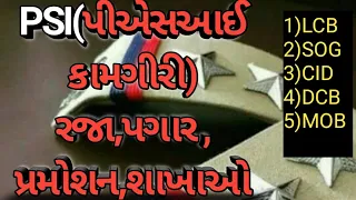 પીએસઆઇ ની કામગીરી શું હોય છે??PSI KAMGIRI #psi #police #gujarat #lrd #salary