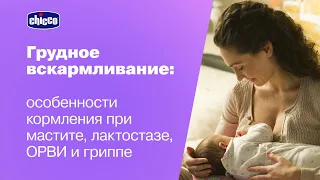 Особенности кормления при мастите, лактостазе, ОРВИ и гриппе. Ответы от врачей 0+