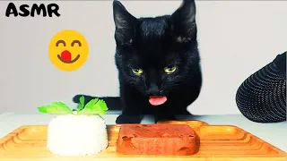 Cat eating Wet cat food & Rice ASMR