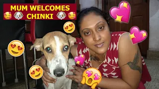 MUM ADOPTS CHINKI IN OUR HOME 🐶🥰| COCO & ANGEL GETS CRAZY AT HOME 😱👿| WATCH THE EMOTIONAL ATYACHAAR😭