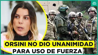 Diputada Maite Orsini explica por qué no dio unanimidad para uso de la fuerza de policías