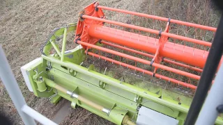 Klovima nuomoja kombainą Claas Lexion 670