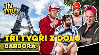 TŘI TYGŘI z dolu Barbora