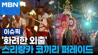 '화려한 외출' 스리랑카 코끼리 퍼레이드 外 | 이슈픽