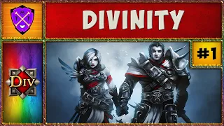 ❌ Divinity Original Sin ❌ Первое Прохождение Дивинити ❌ #1 ❌