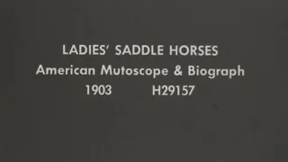 Judging Ladies' Saddle Horses ( 1903 год )