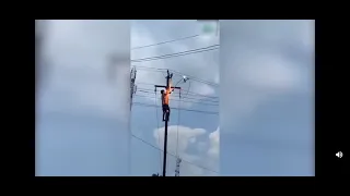 Man gets electrocuted after trying to save a bird from a powerline