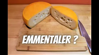 How to make emmentaler cheese at home/ swiss cheese