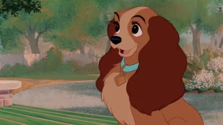 Lady and the Tramp Diamond - Trailer