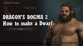 Dragon's Dogma 2 | Dwarf Sliders