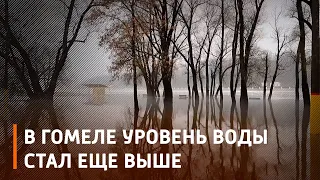 Зимний паводок в Гомеле. Уровень воды стал еще выше