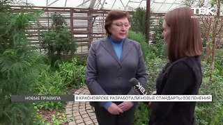 Новые правила озеленения. Красноярск