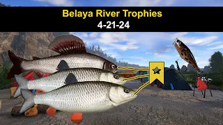 Russian Fishing 4, Belaya River Trophies  4-21-24