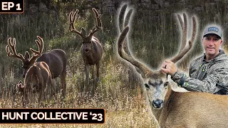 Chasing Giant Colorado Mule Deer, Spot and Stalk Bucks| Hunt Collective ’23