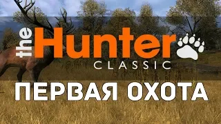 theHunter Classic - первая охота / обзор / обучение /