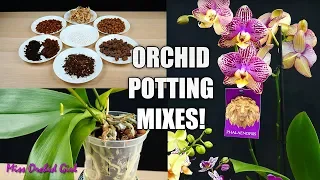 What is the best Potting Mix for your Orchid? - Learn about Orchid Media! Orchid Care for Beginners